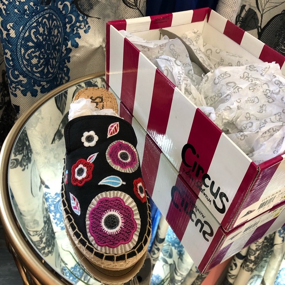 CIRCUS BRAND FLATS - Picture 7 of 11